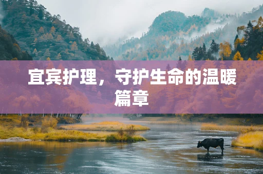 宜宾护理，守护生命的温暖篇章