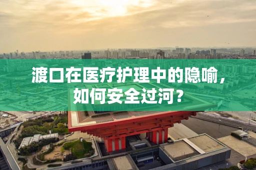 渡口在医疗护理中的隐喻，如何安全过河？