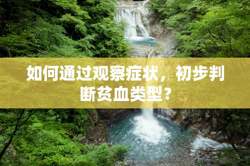 如何通过观察症状，初步判断贫血类型？