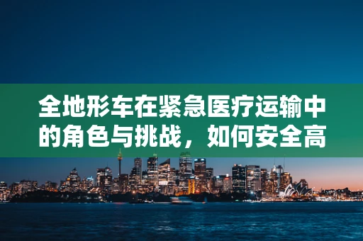 全地形车在紧急医疗运输中的角色与挑战，如何安全高效地运用？
