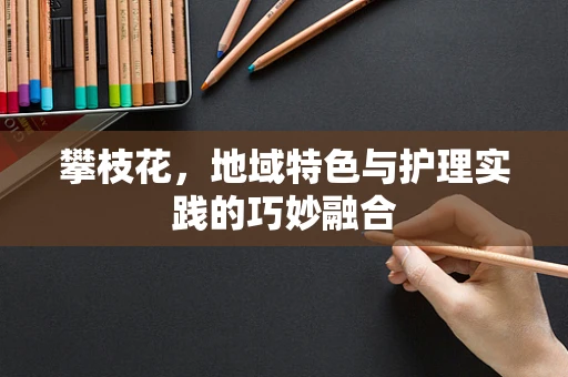 攀枝花，地域特色与护理实践的巧妙融合