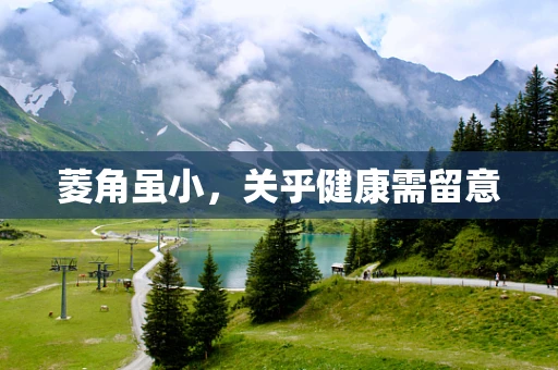 菱角虽小，关乎健康需留意