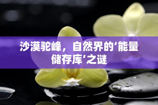 沙漠驼峰，自然界的‘能量储存库’之谜