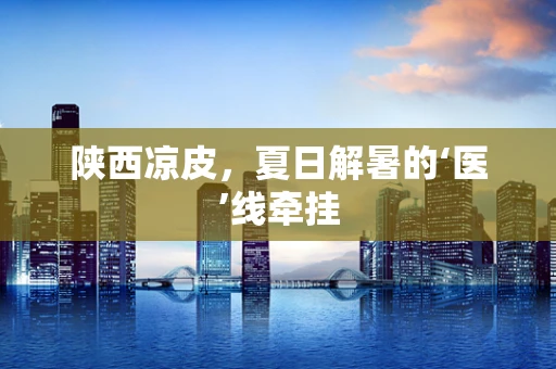 陕西凉皮，夏日解暑的‘医’线牵挂