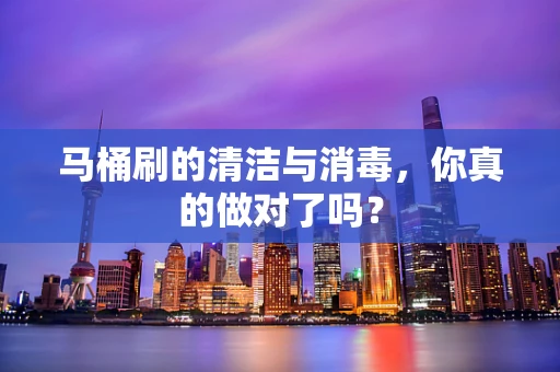 马桶刷的清洁与消毒，你真的做对了吗？