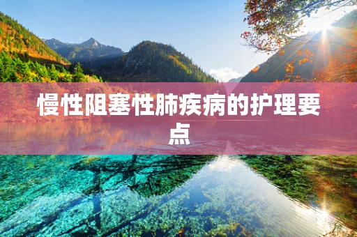 慢性阻塞性肺疾病的护理要点