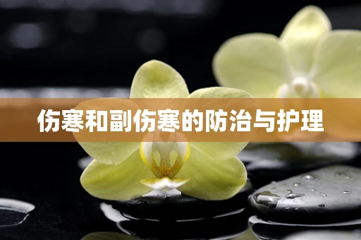 伤寒和副伤寒的防治与护理