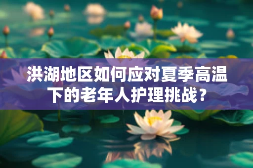 洪湖地区如何应对夏季高温下的老年人护理挑战？