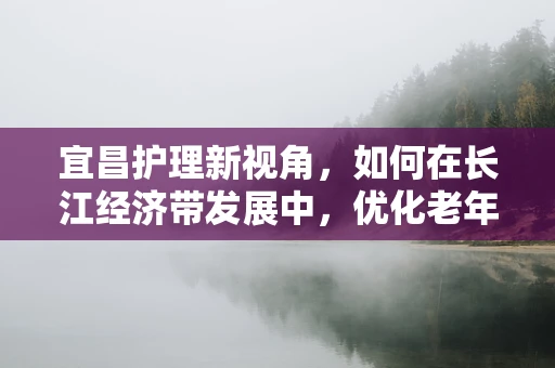 宜昌护理新视角，如何在长江经济带发展中，优化老年慢性病患者的护理服务？