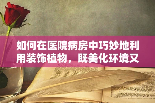 如何在医院病房中巧妙地利用装饰植物，既美化环境又促进患者康复？