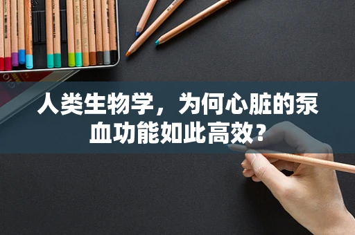 人类生物学，为何心脏的泵血功能如此高效？