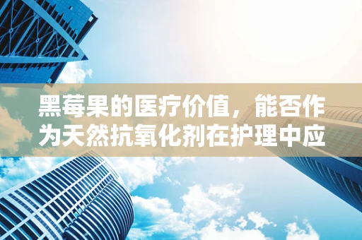 黑莓果的医疗价值，能否作为天然抗氧化剂在护理中应用？