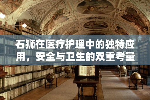 石狮在医疗护理中的独特应用，安全与卫生的双重考量
