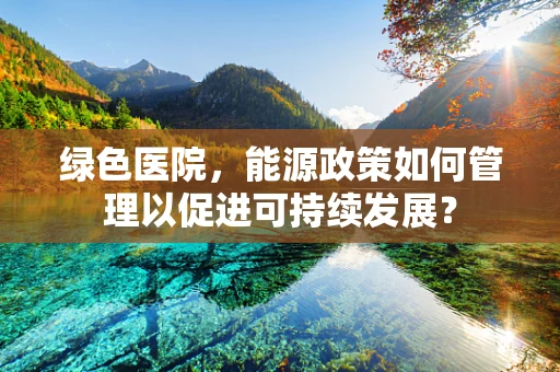 绿色医院，能源政策如何管理以促进可持续发展？