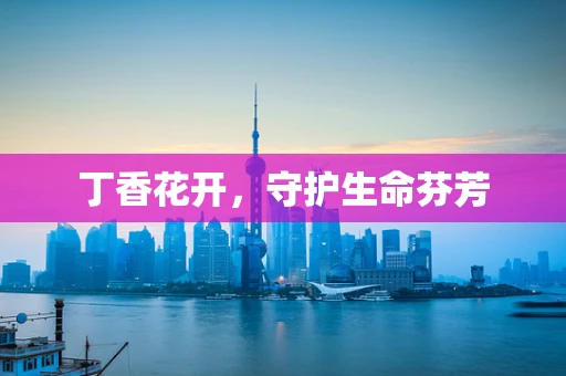 丁香花开，守护生命芬芳