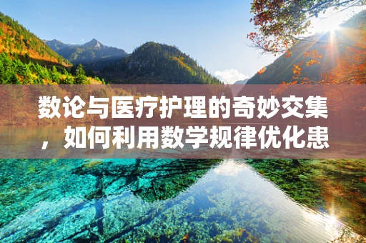 数论与医疗护理的奇妙交集，如何利用数学规律优化患者管理？
