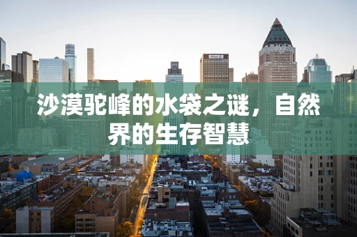 沙漠驼峰的水袋之谜，自然界的生存智慧