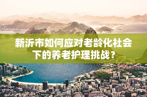 新沂市如何应对老龄化社会下的养老护理挑战？