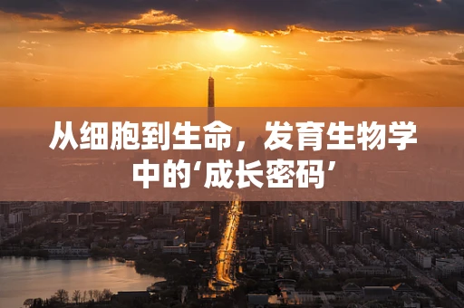 从细胞到生命，发育生物学中的‘成长密码’