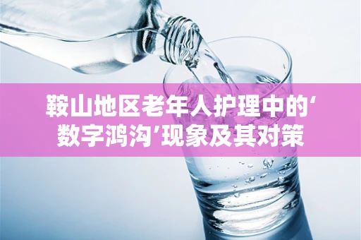 鞍山地区老年人护理中的‘数字鸿沟’现象及其对策