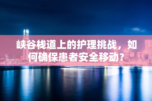 峡谷栈道上的护理挑战，如何确保患者安全移动？