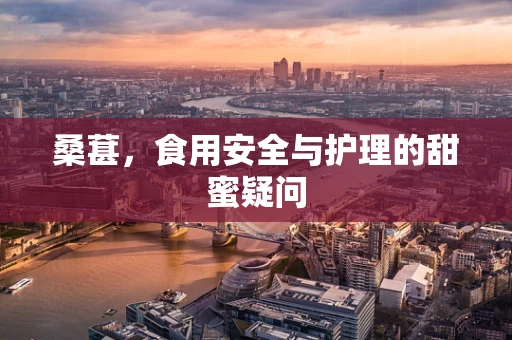 桑葚，食用安全与护理的甜蜜疑问