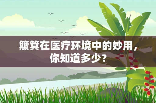 簸箕在医疗环境中的妙用，你知道多少？