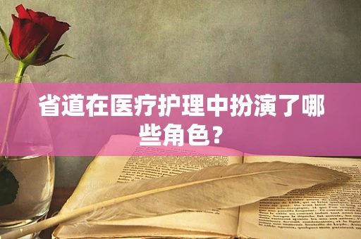 省道在医疗护理中扮演了哪些角色？