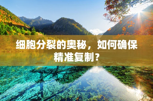 细胞分裂的奥秘，如何确保精准复制？