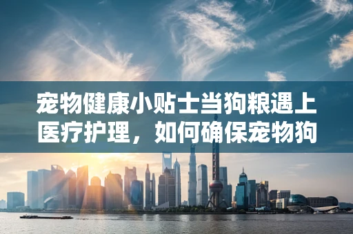 宠物健康小贴士当狗粮遇上医疗护理，如何确保宠物狗的饮食安全？