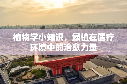 植物学小知识，绿植在医疗环境中的治愈力量