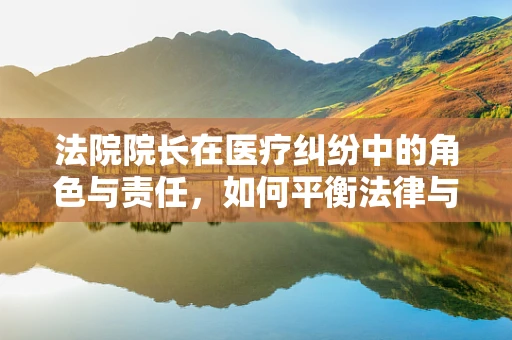 法院院长在医疗纠纷中的角色与责任，如何平衡法律与人文关怀？