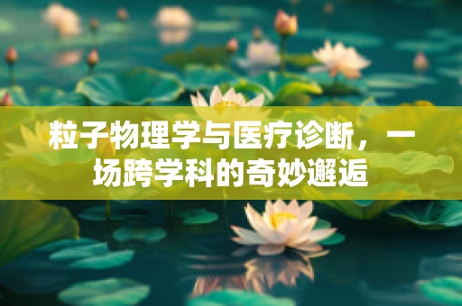 粒子物理学与医疗诊断，一场跨学科的奇妙邂逅