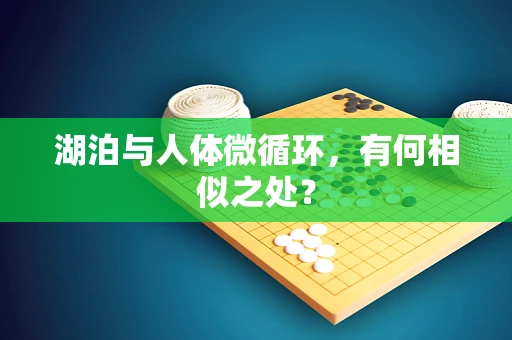 湖泊与人体微循环，有何相似之处？