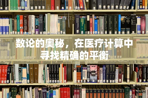 数论的奥秘，在医疗计算中寻找精确的平衡