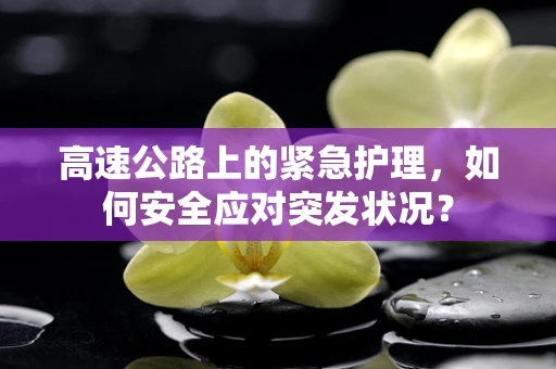 高速公路上的紧急护理，如何安全应对突发状况？