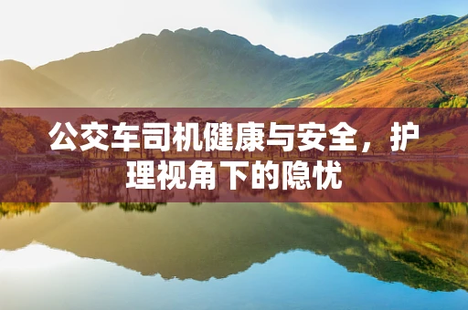 公交车司机健康与安全，护理视角下的隐忧
