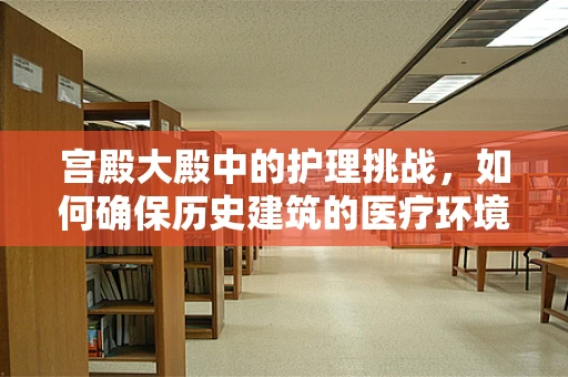 宫殿大殿中的护理挑战，如何确保历史建筑的医疗环境安全？