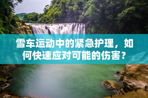 雪车运动中的紧急护理，如何快速应对可能的伤害？