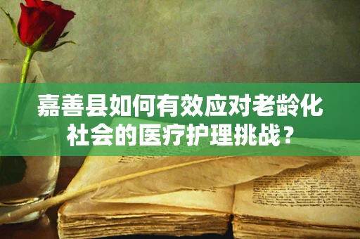 嘉善县如何有效应对老龄化社会的医疗护理挑战？