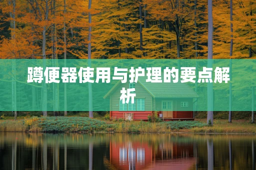蹲便器使用与护理的要点解析