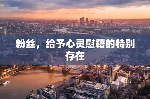 粉丝，给予心灵慰藉的特别存在