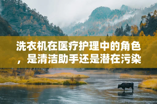 洗衣机在医疗护理中的角色，是清洁助手还是潜在污染源？