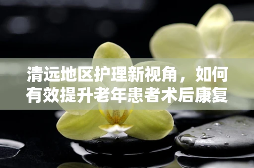 清远地区护理新视角，如何有效提升老年患者术后康复护理的效率？