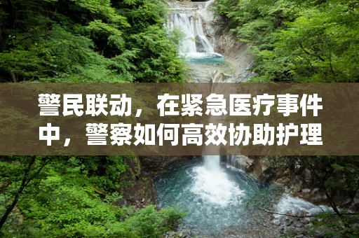 警民联动，在紧急医疗事件中，警察如何高效协助护理师进行现场处置？