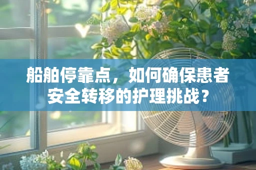 船舶停靠点，如何确保患者安全转移的护理挑战？