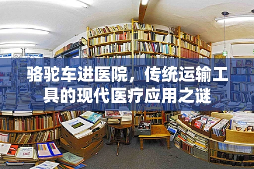 骆驼车进医院，传统运输工具的现代医疗应用之谜