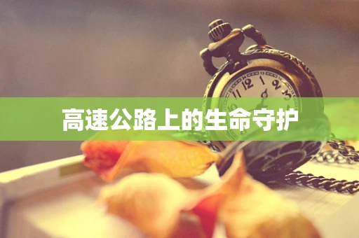 高速公路上的生命守护