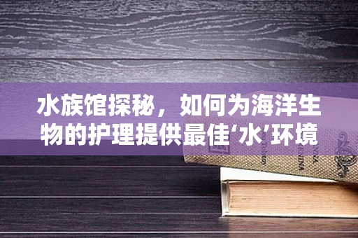 水族馆探秘，如何为海洋生物的护理提供最佳‘水’环境？