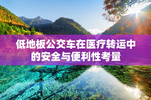 低地板公交车在医疗转运中的安全与便利性考量